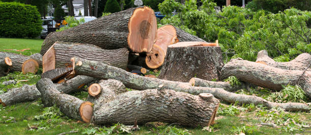 Best Storm Damage Tree Cleanup  in Wanakah, NY